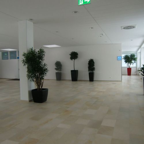 Solnhofer-Empfang1.JPG